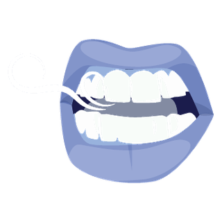 Ilustración de la laringe y la voz